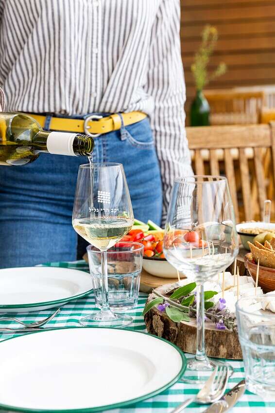 יקב הרי גליל // צילום: דור שרון